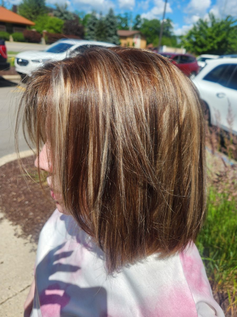 Shoulder-length hair with soft, blended caramel and brunette tones in outdoor daylight, shot from the back by Siobhan Rozinski at K Bella Hair Studio & Spa in Brighton, MI