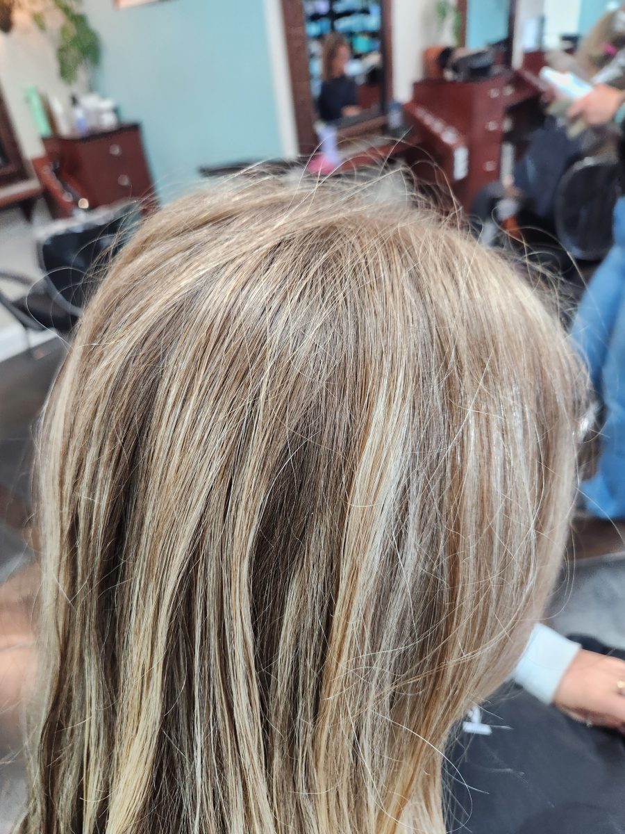 Before: Long straight blonde hair with bright layered highlights, back and side view, by Siobhan Rozinski at K Bella Hair Studio & Spa in Brighton, MI